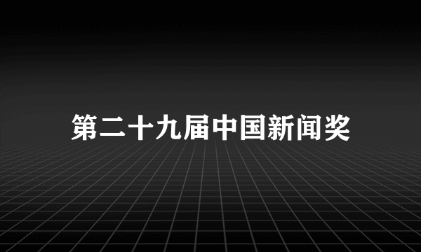 第二十九届中国新闻奖