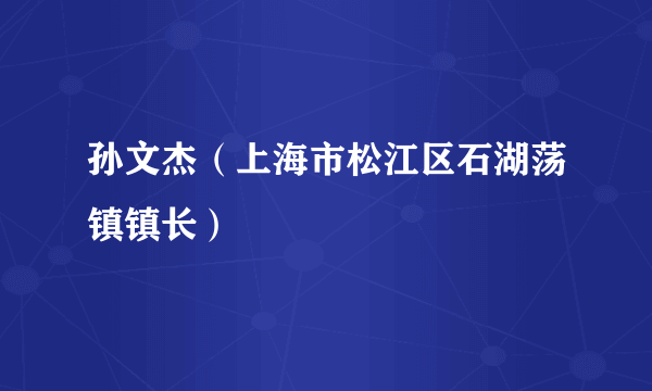 孙文杰（上海市松江区石湖荡镇镇长）