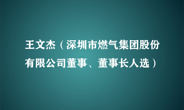 王文杰（深圳市燃气集团股份有限公司董事、董事长人选）