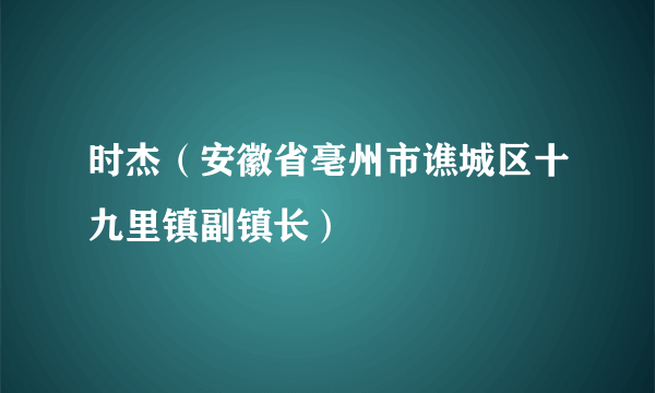 时杰（安徽省亳州市谯城区十九里镇副镇长）