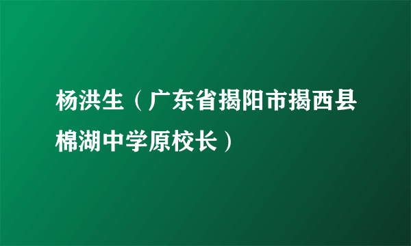 杨洪生（广东省揭阳市揭西县棉湖中学原校长）