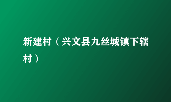 新建村（兴文县九丝城镇下辖村）