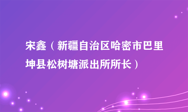 宋鑫（新疆自治区哈密市巴里坤县松树塘派出所所长）