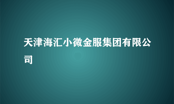 天津海汇小微金服集团有限公司