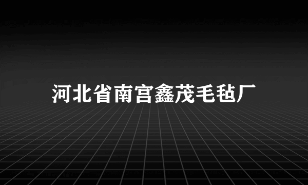 河北省南宫鑫茂毛毡厂