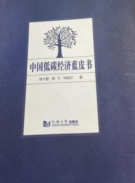 中国低碳经济蓝皮书（同济大学出版社出版的图书）