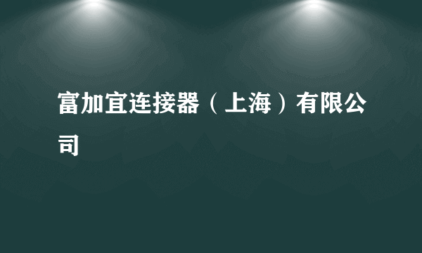 富加宜连接器（上海）有限公司