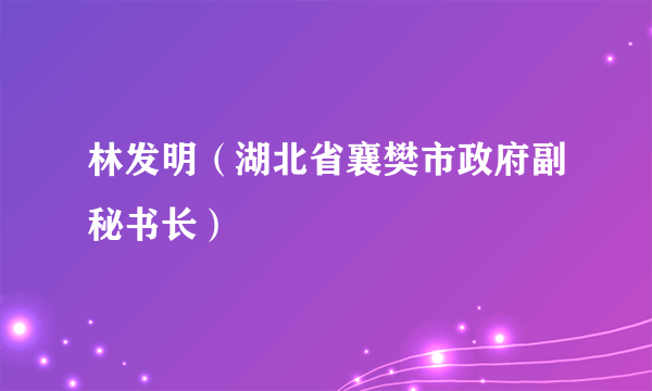 林发明（湖北省襄樊市政府副秘书长）