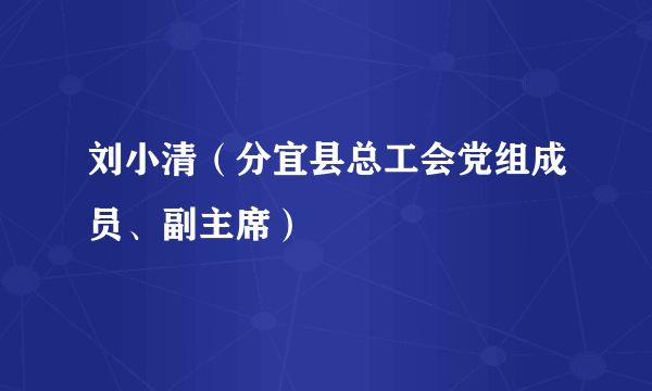 刘小清（分宜县总工会党组成员、副主席）