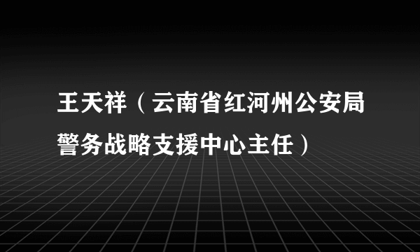 王天祥（云南省红河州公安局警务战略支援中心主任）