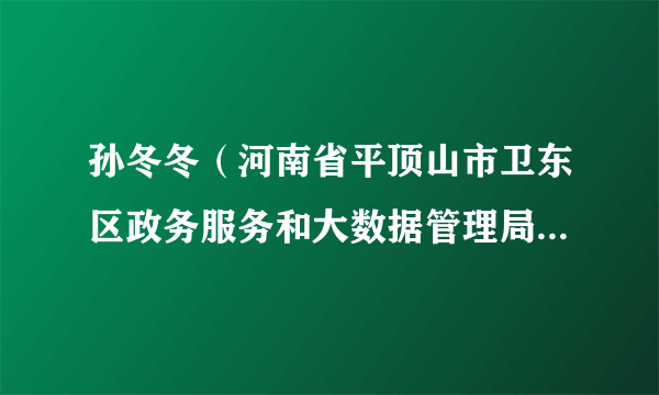 孙冬冬（河南省平顶山市卫东区政务服务和大数据管理局党组成员、副局长）