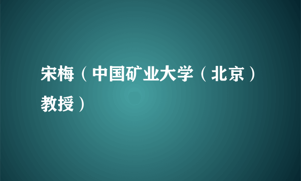 宋梅（中国矿业大学（北京）教授）