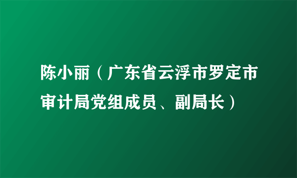 陈小丽（广东省云浮市罗定市审计局党组成员、副局长）