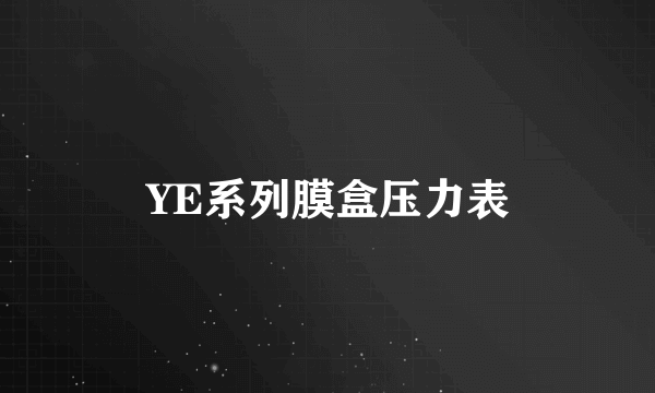 YE系列膜盒压力表