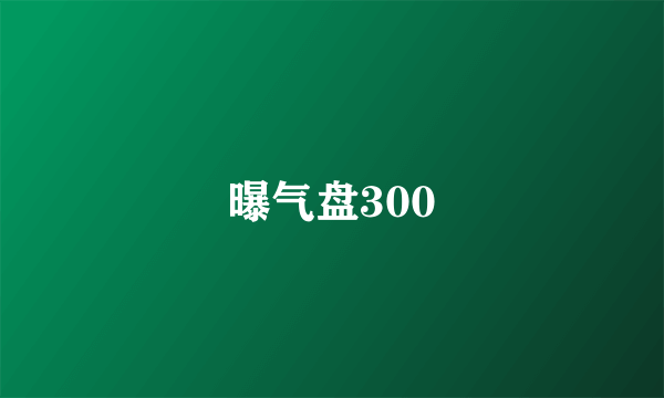 曝气盘300