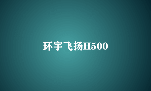 环宇飞扬H500