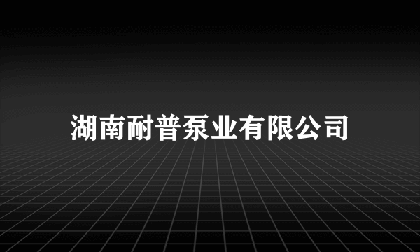 湖南耐普泵业有限公司