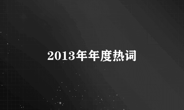 2013年年度热词