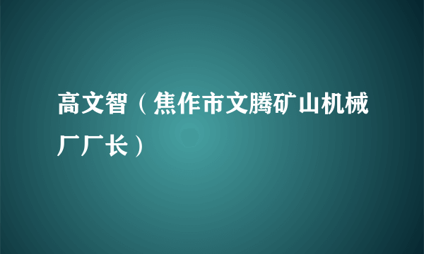 高文智（焦作市文腾矿山机械厂厂长）