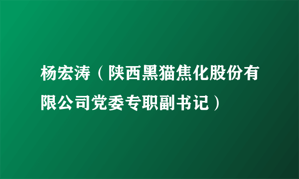 杨宏涛（陕西黑猫焦化股份有限公司党委专职副书记）