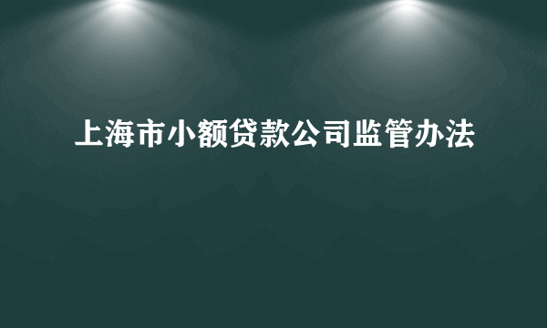 上海市小额贷款公司监管办法