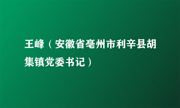 王峰（安徽省亳州市利辛县胡集镇党委书记）