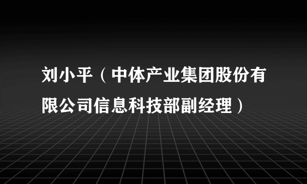 刘小平（中体产业集团股份有限公司信息科技部副经理）