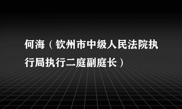 何海（钦州市中级人民法院执行局执行二庭副庭长）