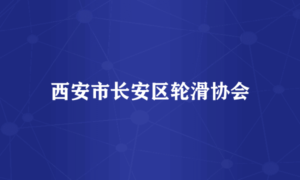 西安市长安区轮滑协会