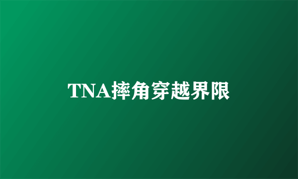 TNA摔角穿越界限