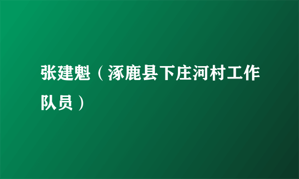 张建魁（涿鹿县下庄河村工作队员）