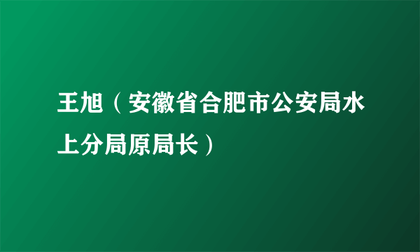 王旭（安徽省合肥市公安局水上分局原局长）