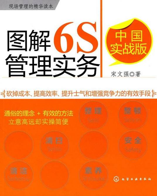 6S管理（2010年化学工业出版社出版的图书）