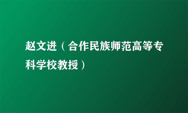 赵文进（合作民族师范高等专科学校教授）