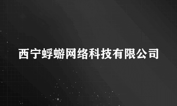 西宁蜉蝣网络科技有限公司