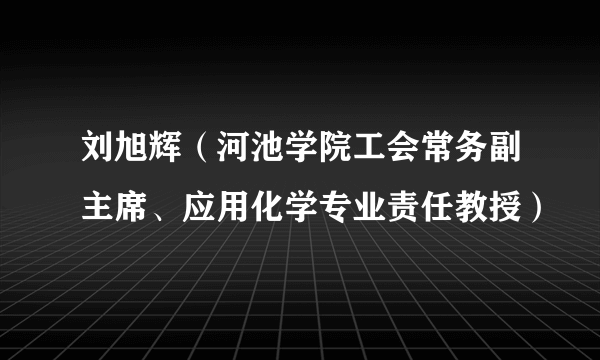 刘旭辉（河池学院工会常务副主席、应用化学专业责任教授）