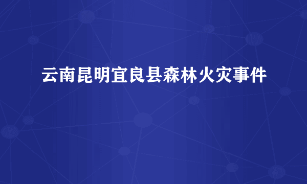 云南昆明宜良县森林火灾事件