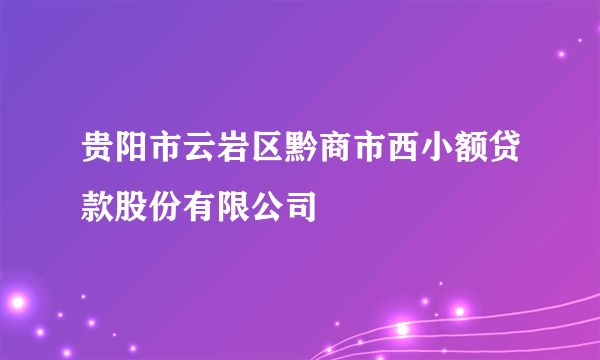 贵阳市云岩区黔商市西小额贷款股份有限公司