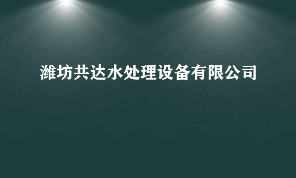 潍坊共达水处理设备有限公司