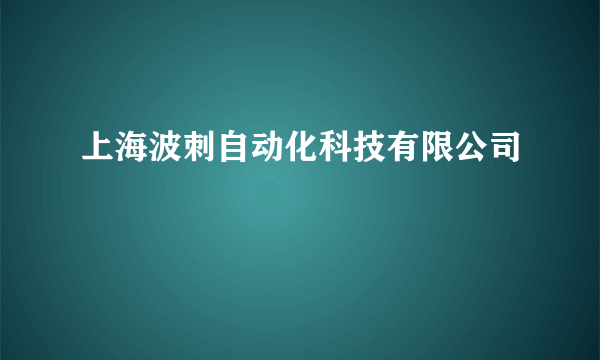 上海波刺自动化科技有限公司