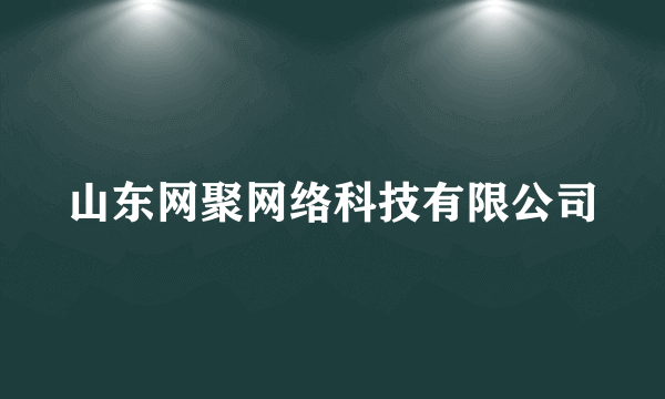 山东网聚网络科技有限公司