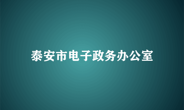 泰安市电子政务办公室