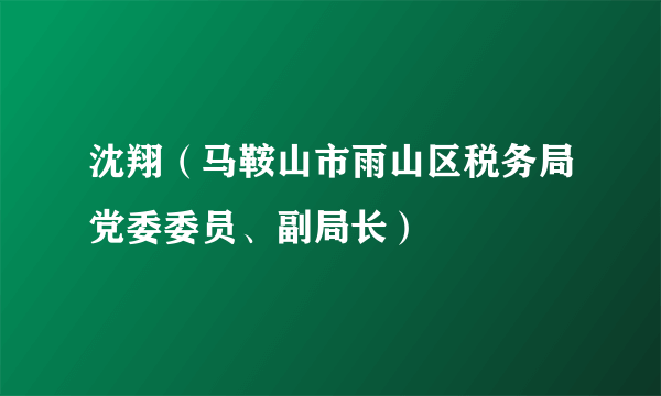 沈翔（马鞍山市雨山区税务局党委委员、副局长）