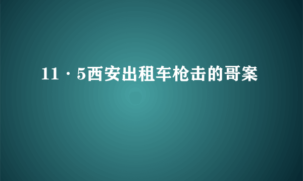 11·5西安出租车枪击的哥案