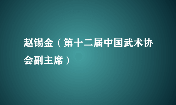 赵锡金（第十二届中国武术协会副主席）