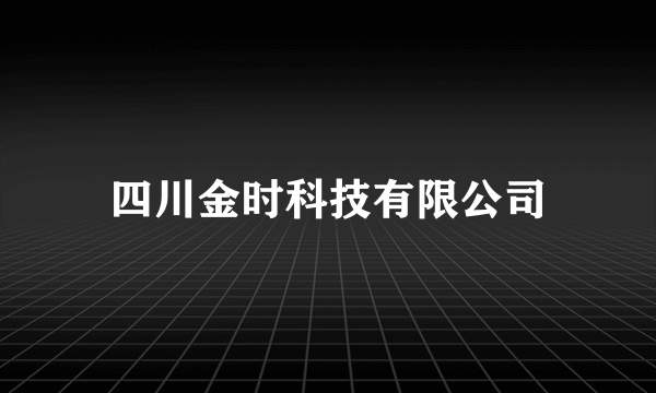 四川金时科技有限公司