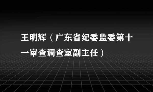 王明辉（广东省纪委监委第十一审查调查室副主任）