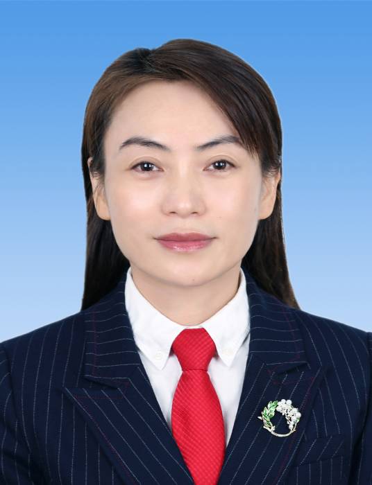 李莉（四川省南充市西充县人民政府副县长）