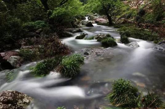 生命源水