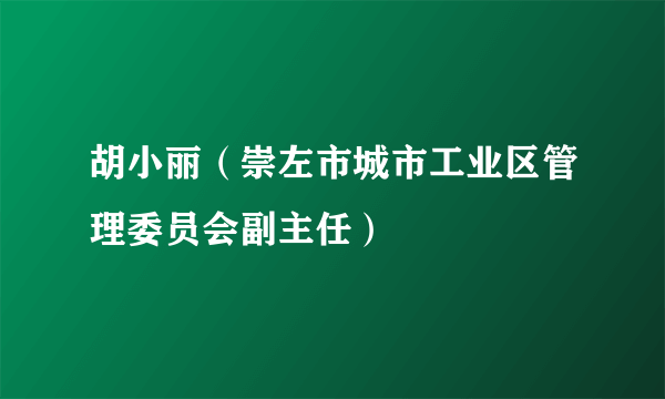 胡小丽（崇左市城市工业区管理委员会副主任）